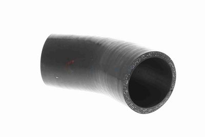 FURTUN EAR SUPRAALIMENTARE ACKOJA A389604 3