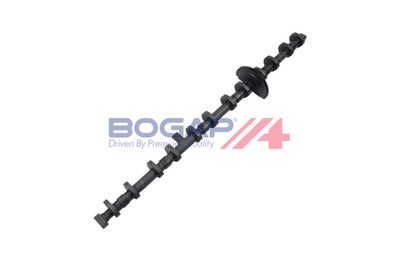 ARBORE EXCENTRIC REGLAREA ARBORELUI CU CAME BOGAP B1350113