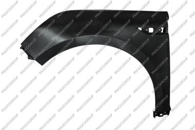 Крыло PRASCO RN5003014 для RENAULT TALISMAN
