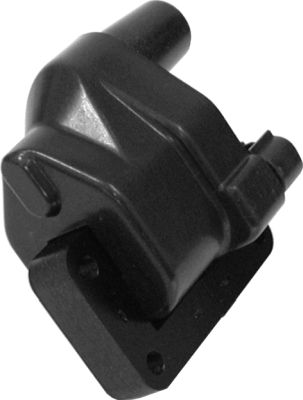 Zapalovací cívka GM B0114