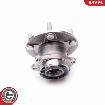 SET RULMENT ROATA ESEN SKV 29SKV049 2