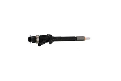 INJECTOR REMANTE 002003001132R 35