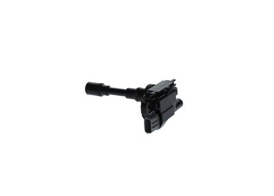 Bsoch IGNITION COIL 098622A207