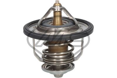 TERMOSTAT LICHID RACIRE