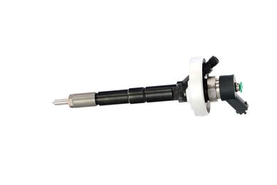 INJECTOR REMANTE 002003001315R 15