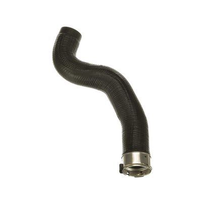 FURTUN EAR SUPRAALIMENTARE GATES 091624 53