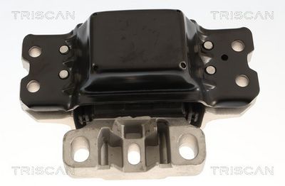 окачване, двигател TRISCAN 8505 29112