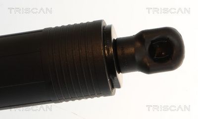 Plynárenská vzpera (pneumatická pružina), zavazadlový priestor TRISCAN 8710 29328
