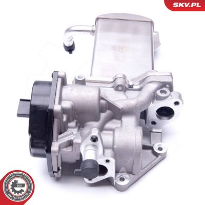 AGR-Ventil ESEN SKV 14SKV151