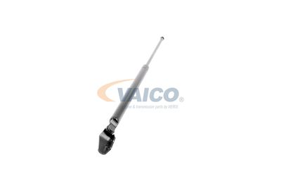 GASFEDER KOFFER-/LADERAUM VAICO V320074 51
