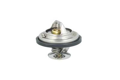 TERMOSTAT LICHID RACIRE NRF 725478 11