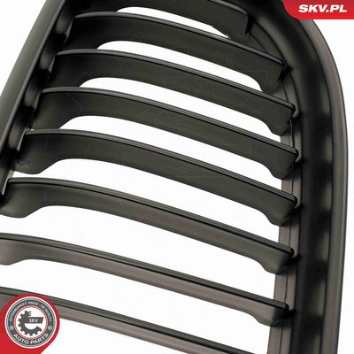 GRILA RADIATOR ESEN SKV 66SKV097 7