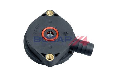 VENTIL AERISIRE CARTER BOGAP B1211106 5