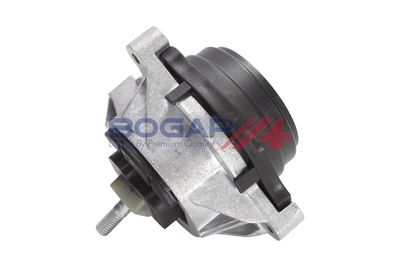 BOGAP Variklio montavimas