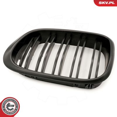 GRILA RADIATOR ESEN SKV 66SKV162 5
