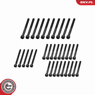 SET AX CU CAME ESEN SKV 80SKV304 5