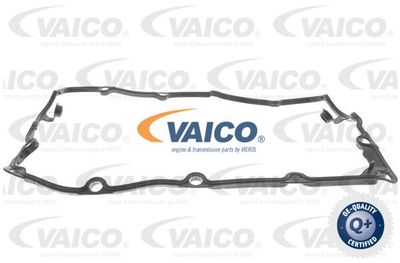 VAICO V10-2557 Прокладка клапанної кришки 