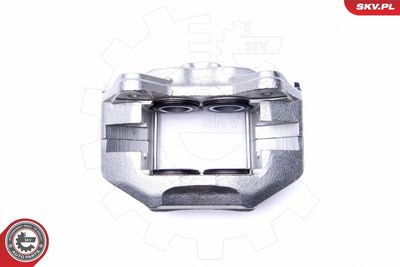 Brake Caliper 46SKV732