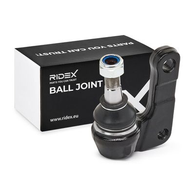 Шарнири RIDEX 2462S0463