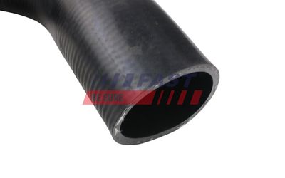 FURTUN EAR SUPRAALIMENTARE FAST FT61746 3