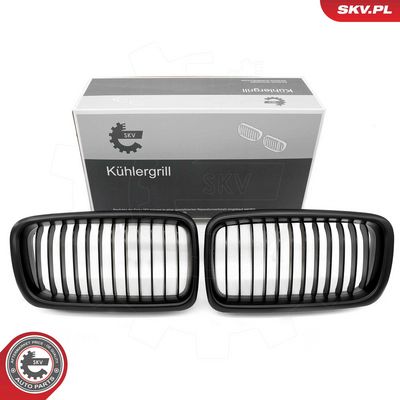 GRILA RADIATOR ESEN SKV 66SKV213 10