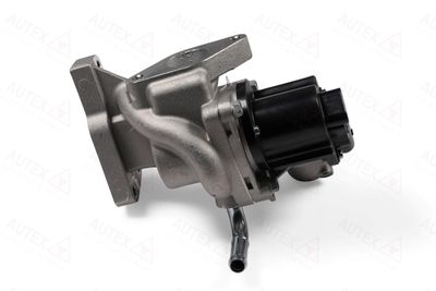 Zawór AGR AUTEX 959481