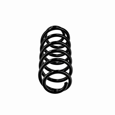 ARC SPIRAL EIBACH R10413 1
