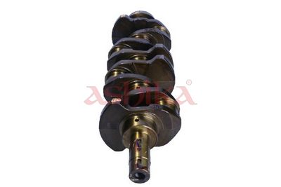ARBORE COTIT ASHIKA 18MI003 2