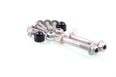 SET MONTARE AMORTIZOR GH GH384702 25