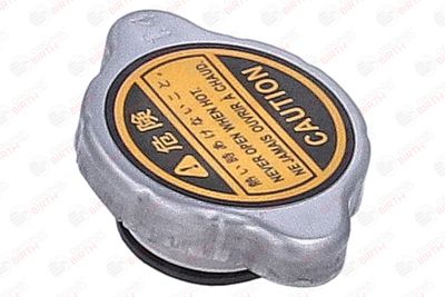 BUSON RADIATOR BIRTH 81184 9