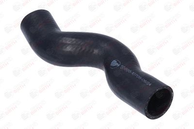FURTUN EAR SUPRAALIMENTARE BIRTH 55888 1