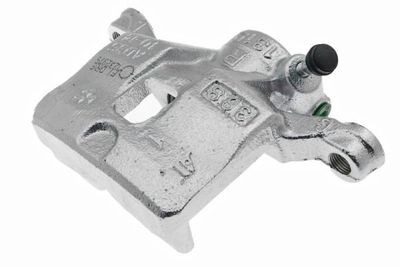 Jarrusatula LAUBER 77.1143