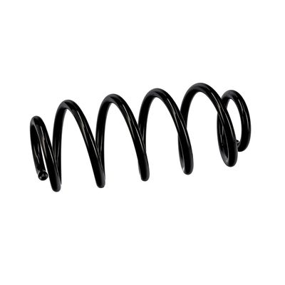ARC SPIRAL EIBACH R10135 6