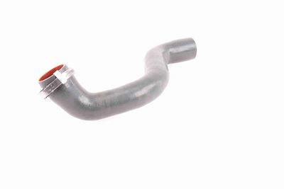 FURTUN EAR SUPRAALIMENTARE VAICO V460823 4