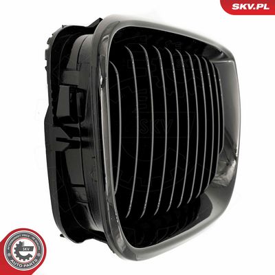 GRILA RADIATOR ESEN SKV 66SKV075 7