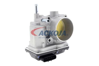 CARCASA CLAPETA ACKOJA A70810010 55