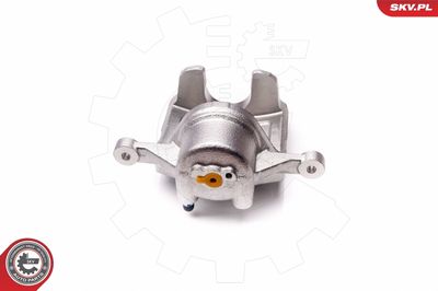 Brake Caliper 23SKV611