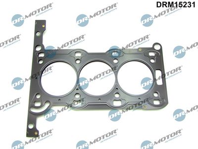 GARNITURA CHIULASA Dr.Motor Automotive DRM15231