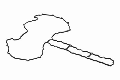 GARNITURA CAPAC SUPAPE VAICO V204645 3