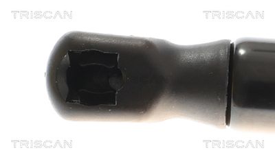 AMORTIZOR PORTBAGAJ TRISCAN 871016310 1
