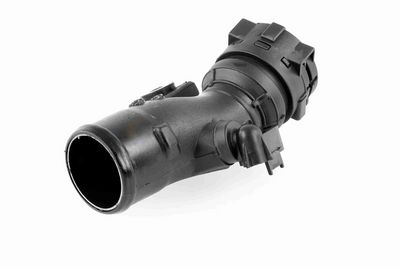 FURTUN EAR SUPRAALIMENTARE ACKOJA A380296 4