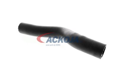 FURTUN RADIATOR ACKOJA A261604 40