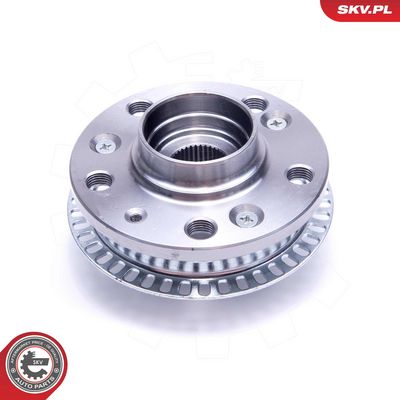 SET RULMENT ROATA ESEN SKV 29SKV439 2