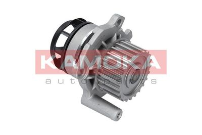 Water Pump, engine cooling T0022