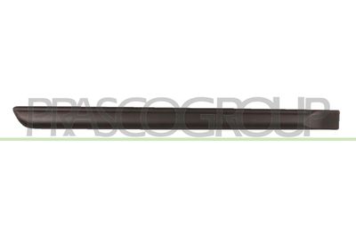 Ozdobná / ochranná lišta, dveře PRASCO FT3421453