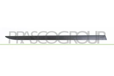 ELEMENTE DECORATIVE/PROTECTIE PORTIERA PRASCO OP0341434