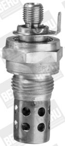 BorgWarner (BERU) Glühkerze