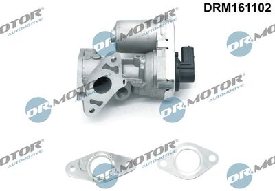 EGR Valve DRM161102