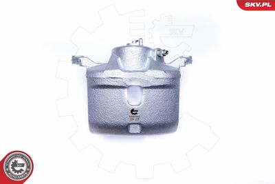 Brake Caliper 42SKV202