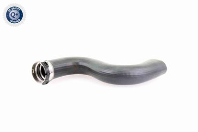 LADELUFTSCHLAUCH VAICO V103778 1